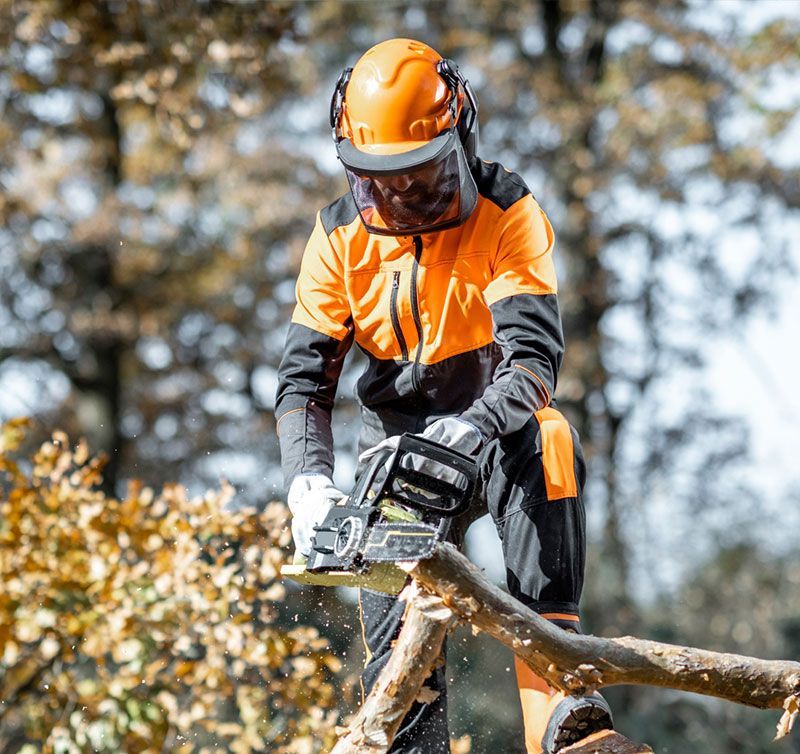 A man is cutting a tree branch with a chainsaw.