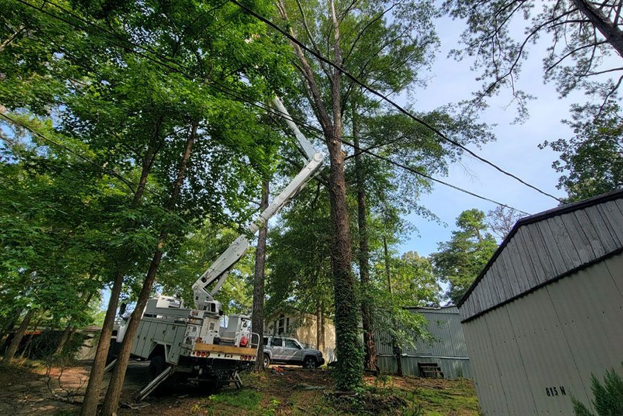 A crane is cutting a tree in the woods in front of a house.