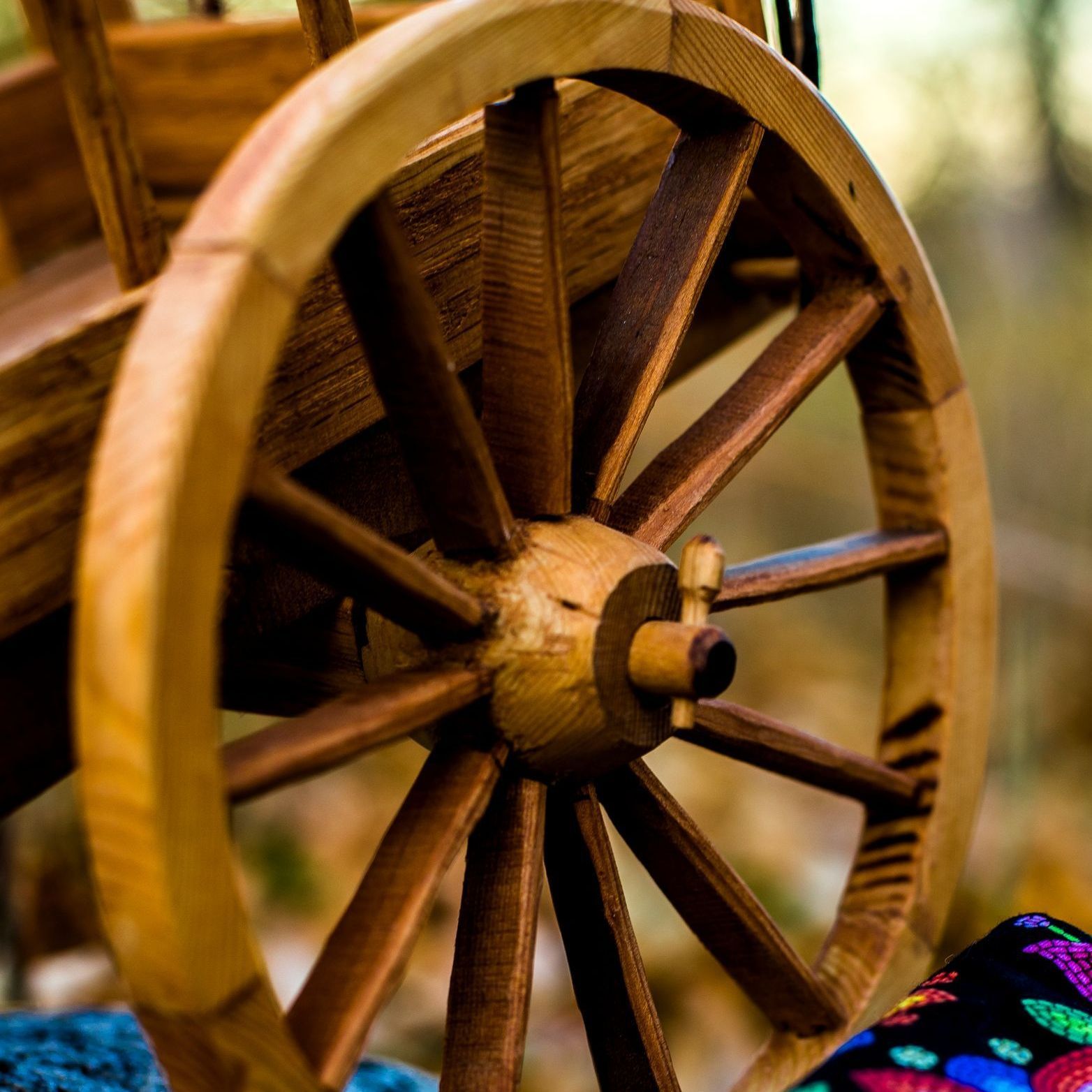 Zoomed in picture of a  wooden Red River Cart Wheel