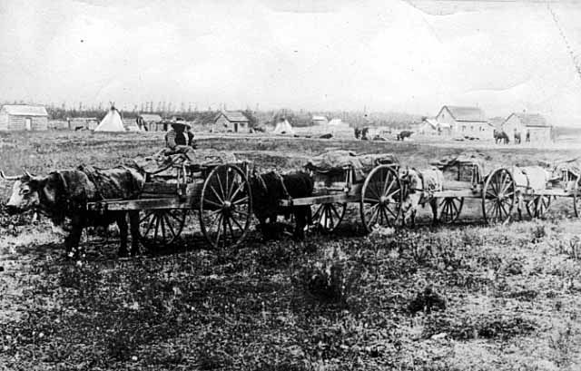 A picture of a Metis Red River Cart train taken at Fort Smith near Edmonton AB