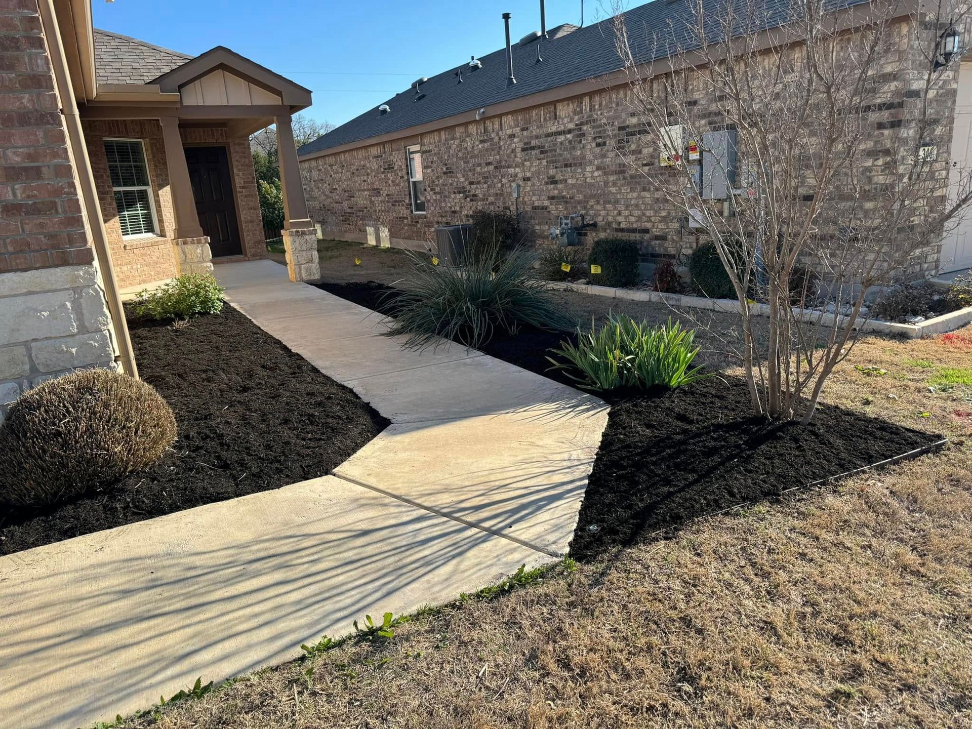 Black mulch borders a concrete walkway leading to a house with a brick facade and brown door; daytime.