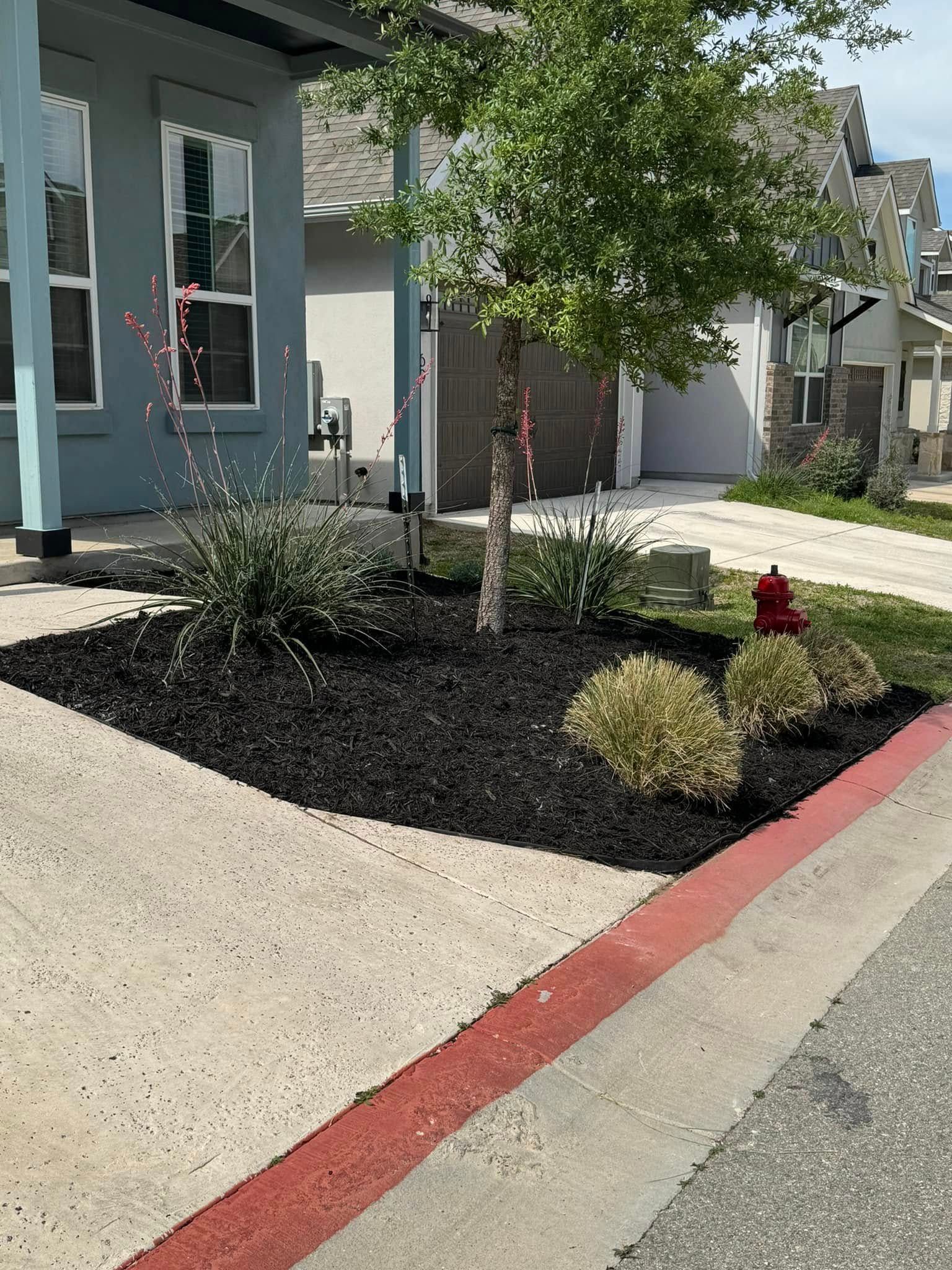 Landscaped garden bed with black mulch, tree, and small plants next to a sidewalk and building.
