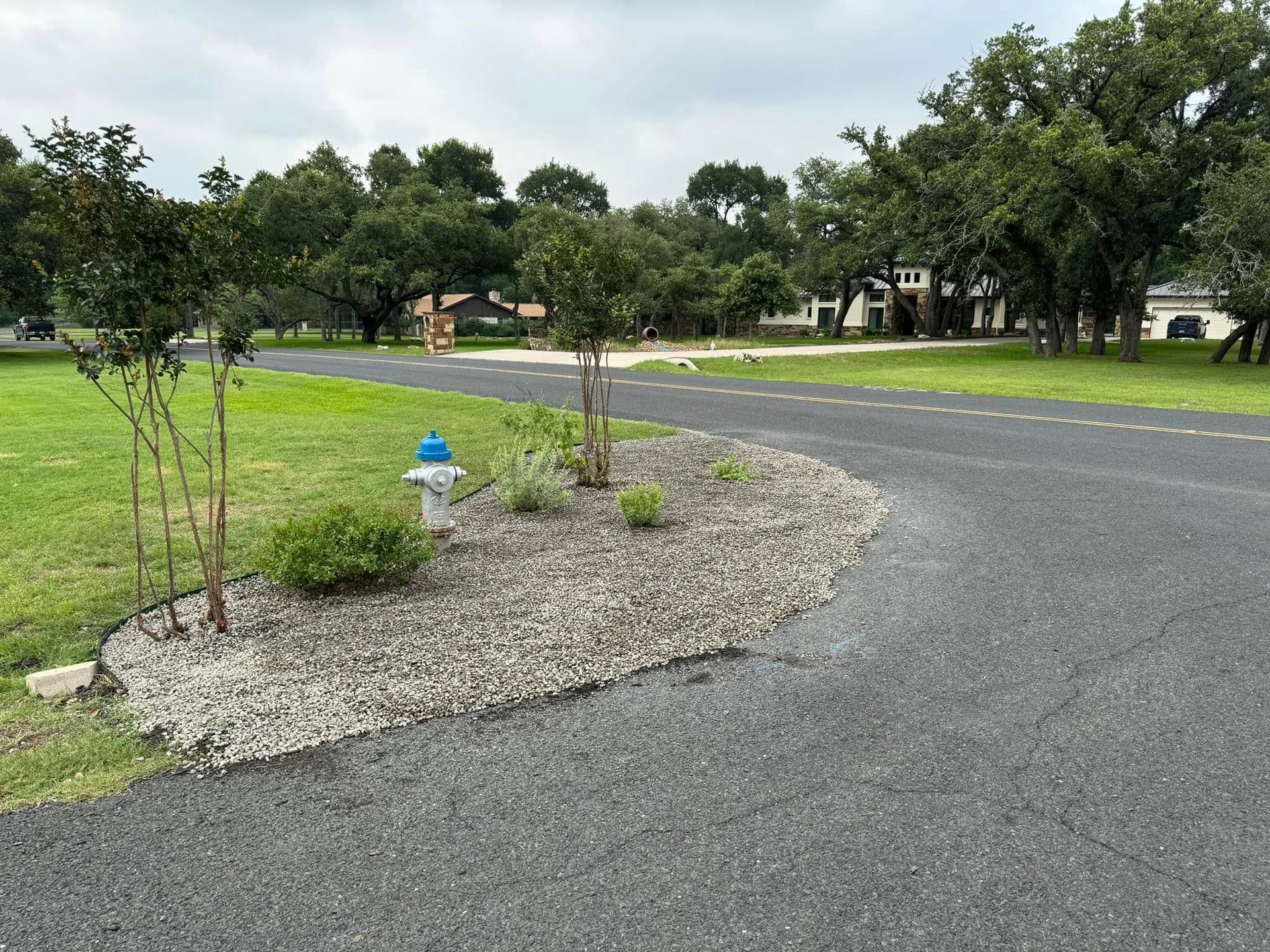 Gravel-covered landscaped area with blue fire hydrant. Trees and a road in a green, outdoor setting.