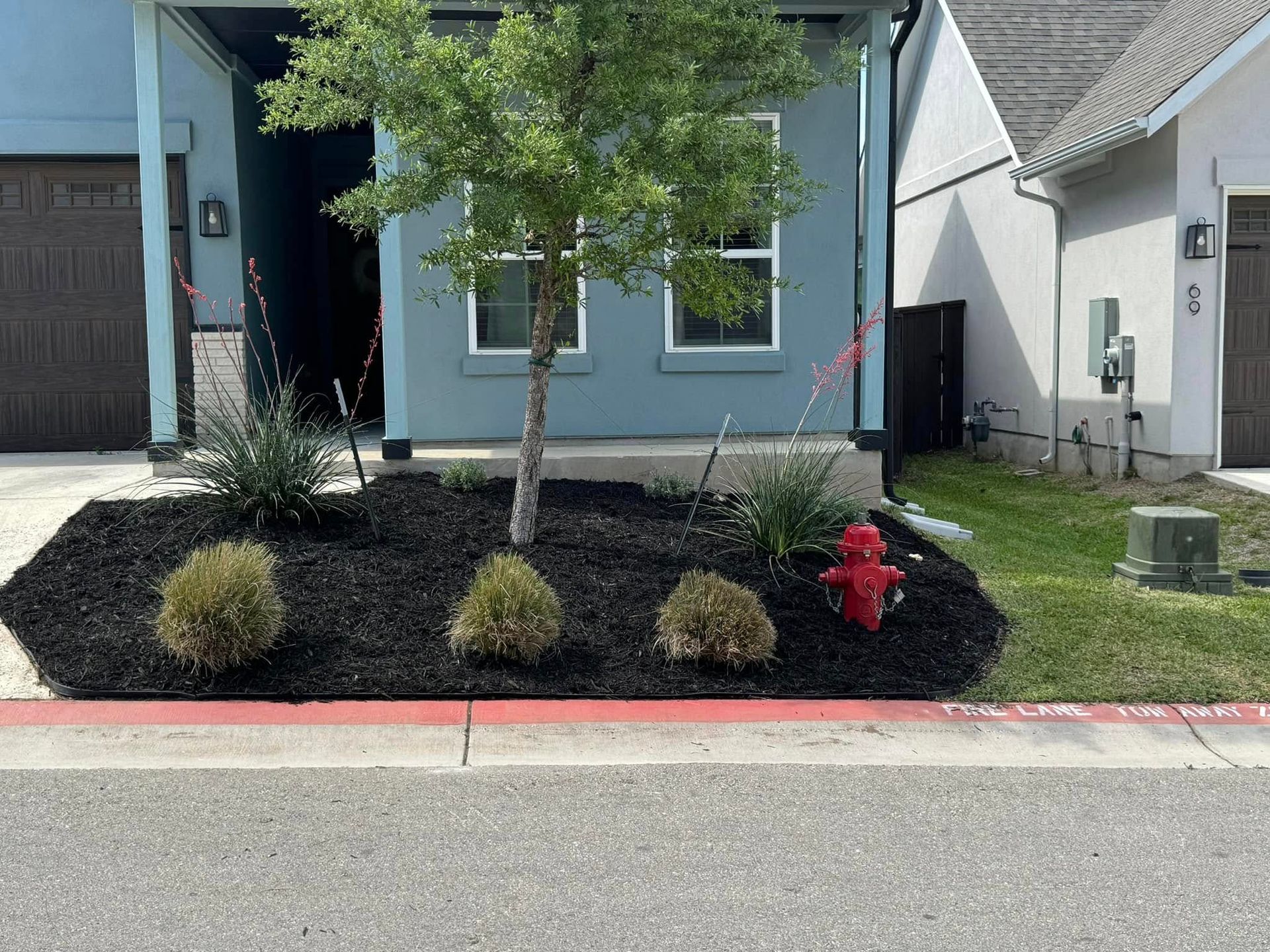 Front of a house with black mulch landscaping, a small tree, and a red fire hydrant.