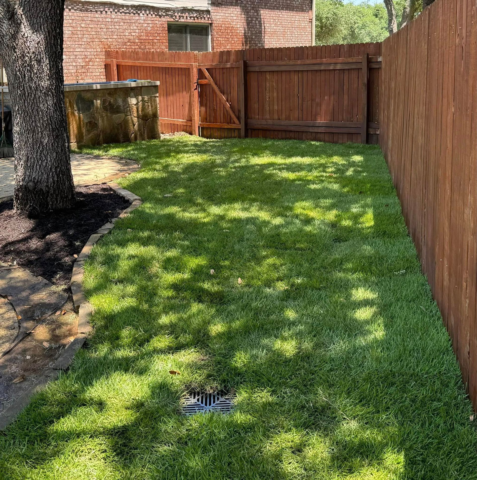 A backyard with a wooden fence, gate, and lush green grass. A tree and an open drain are present.