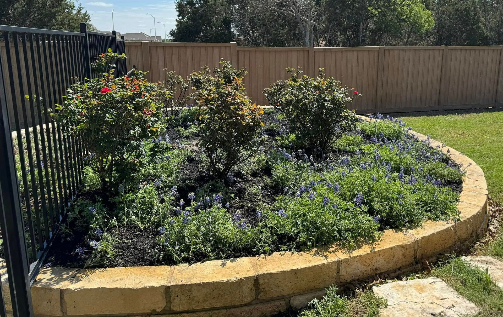 Curved flower bed with brick border, various green plants, and blue flowers. Black fence and wooden fence in background.