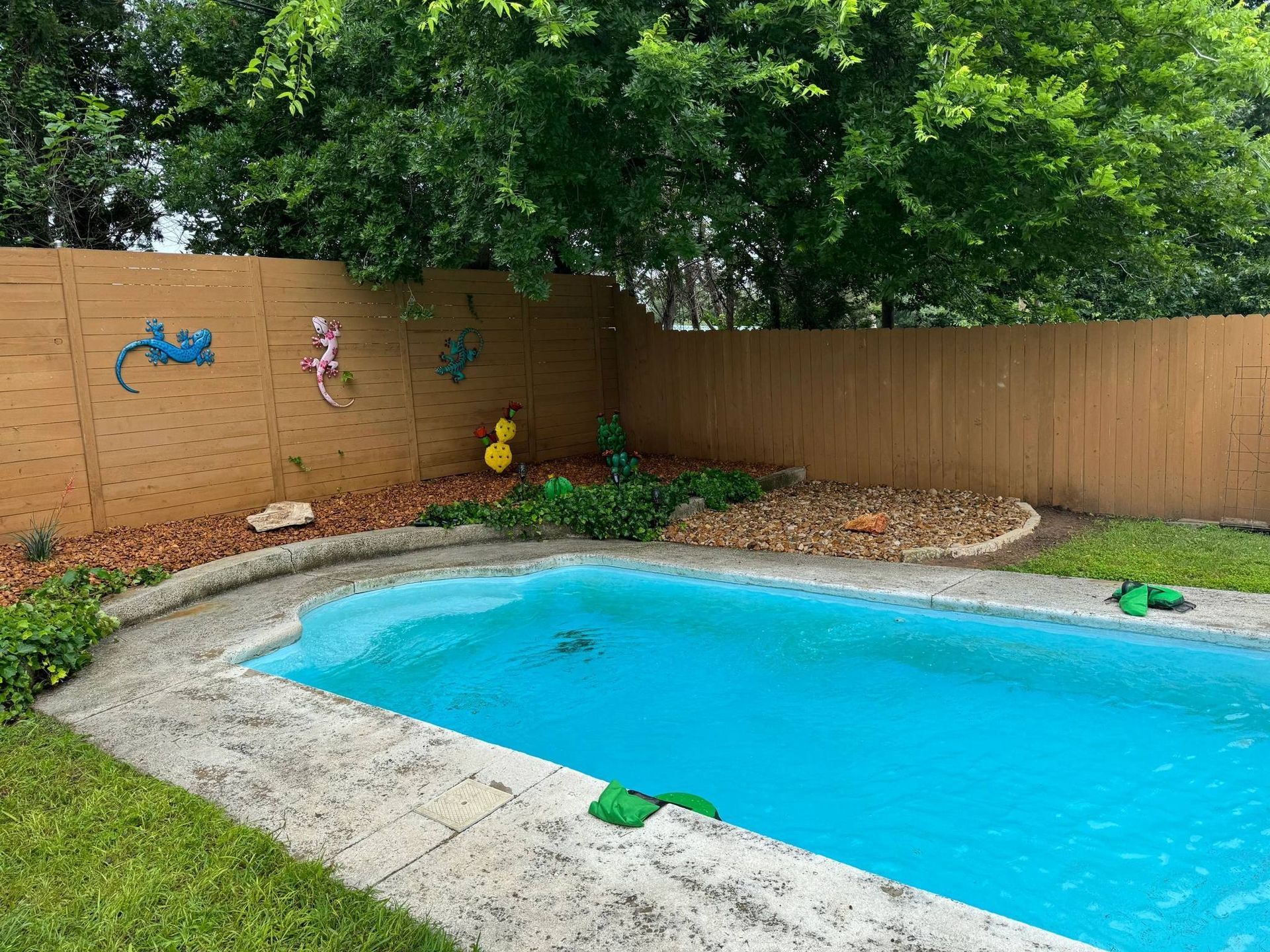 Pool in a backyard with wooden fence, landscaping, and lizard decorations.