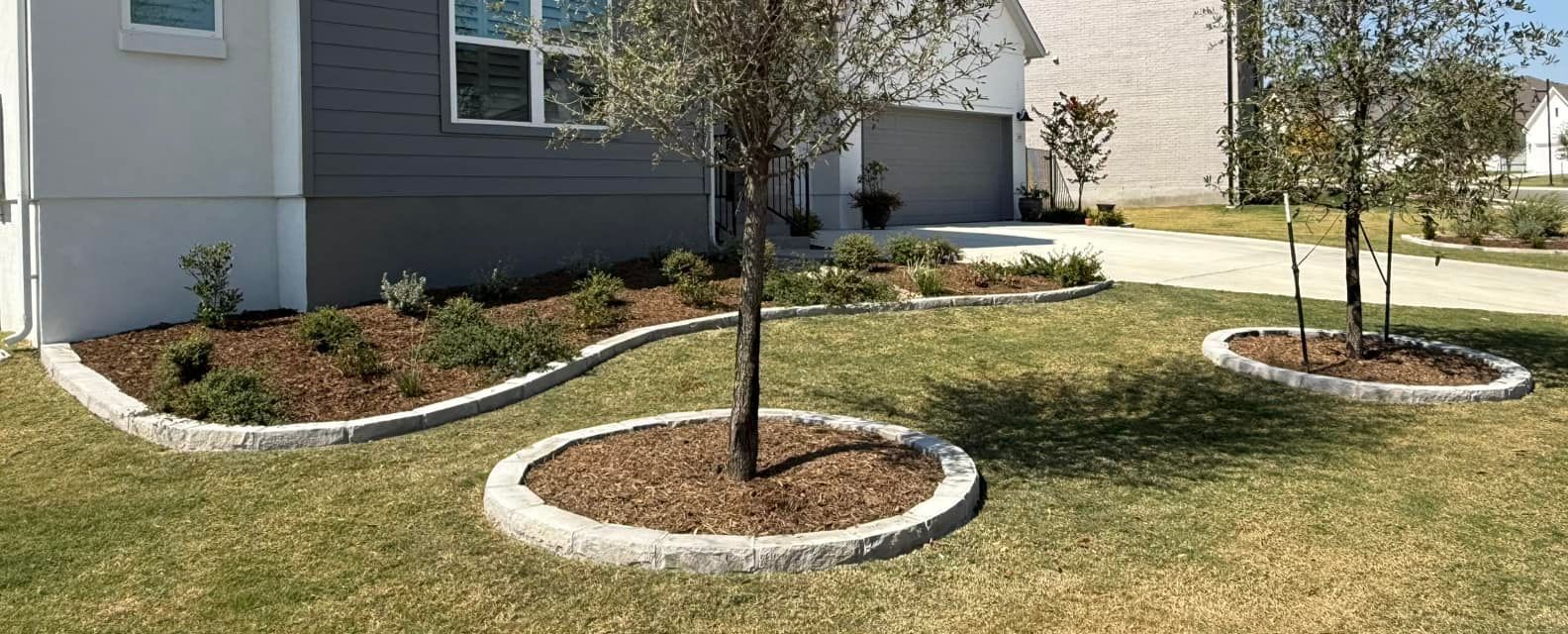 A front yard with trees surrounded by circular edging, mulch, and green grass near a house.