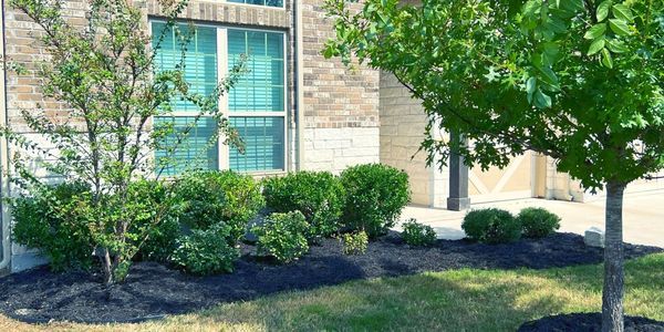 Landscaped front yard with trees, shrubs, brick house, and green lawn.