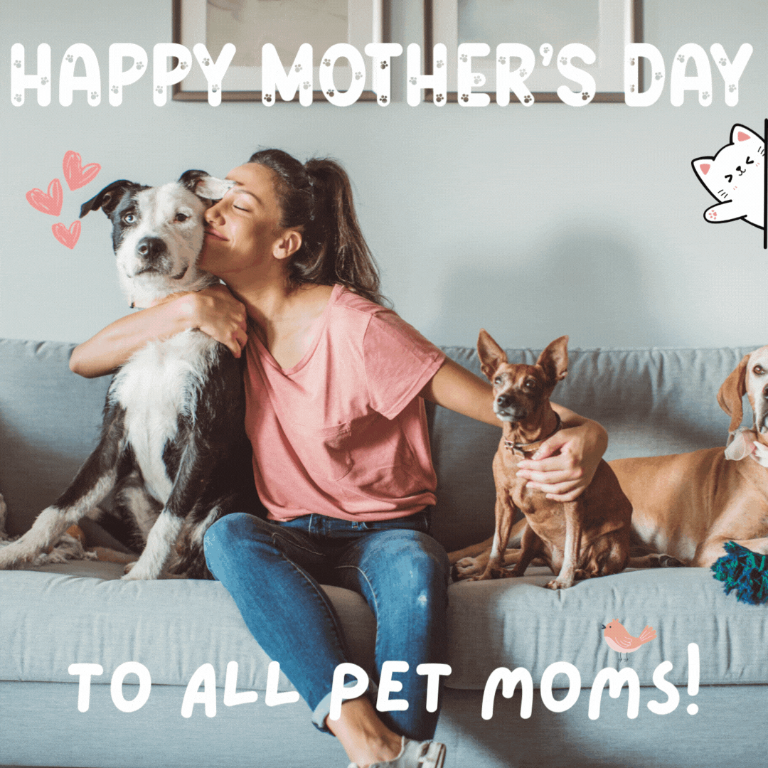 A woman is sitting on a couch with three dogs.