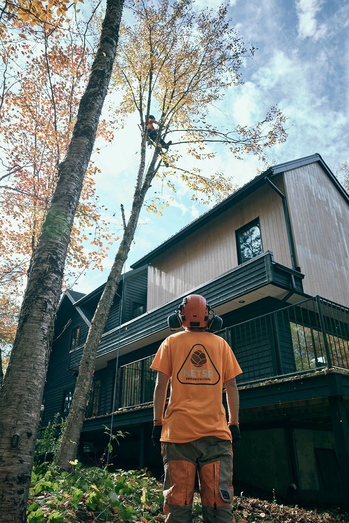 Un homme coupe un arbre devant une maison.