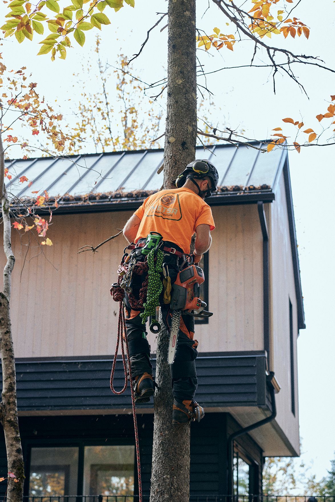 Un homme grimpe à un arbre devant une maison.