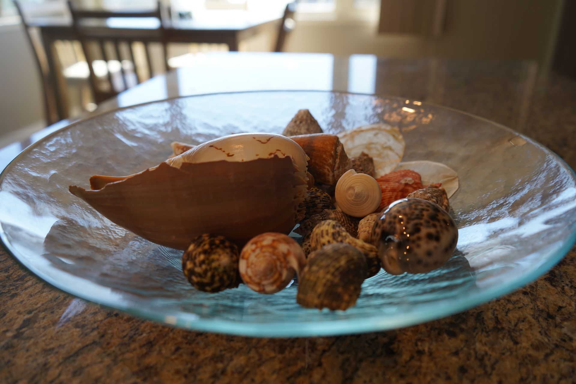 Decorative bowl of seashells and pebbles on a tabletop with a blurred dining room background