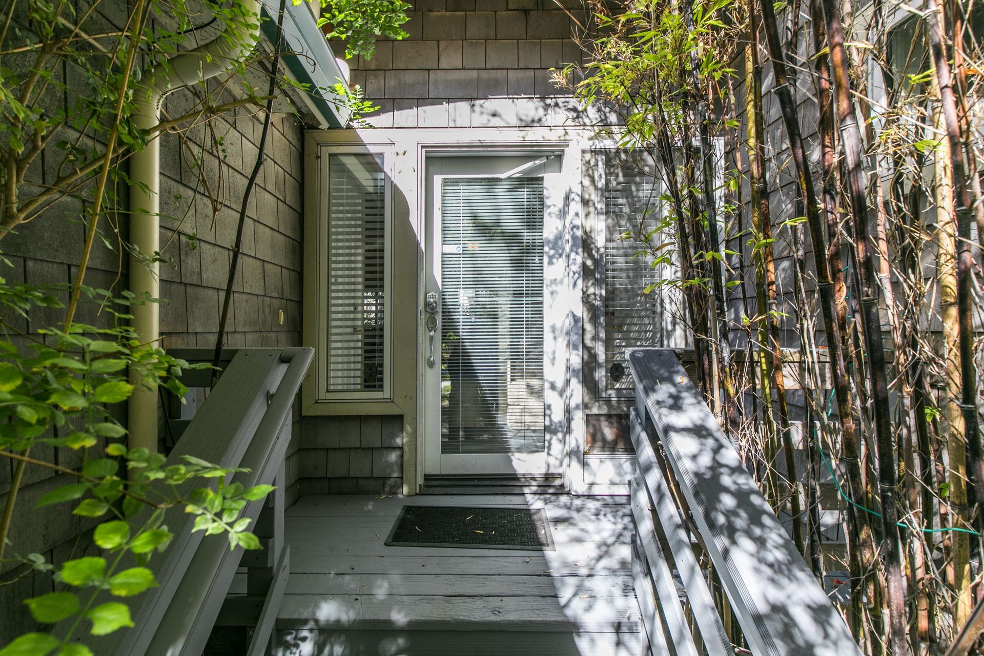 Narrow stone walkway to a white door, bordered by green foliage and vines.