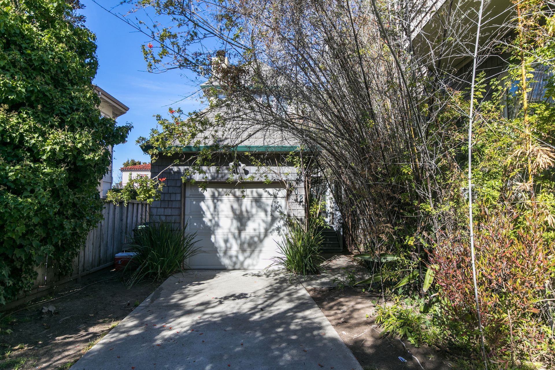 Tree-lined driveway leading to a white garage with a concrete path and bright blue sky