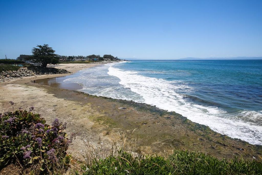 Sandy beach with waves, blue ocean, and wildflowers along a sunny coastline