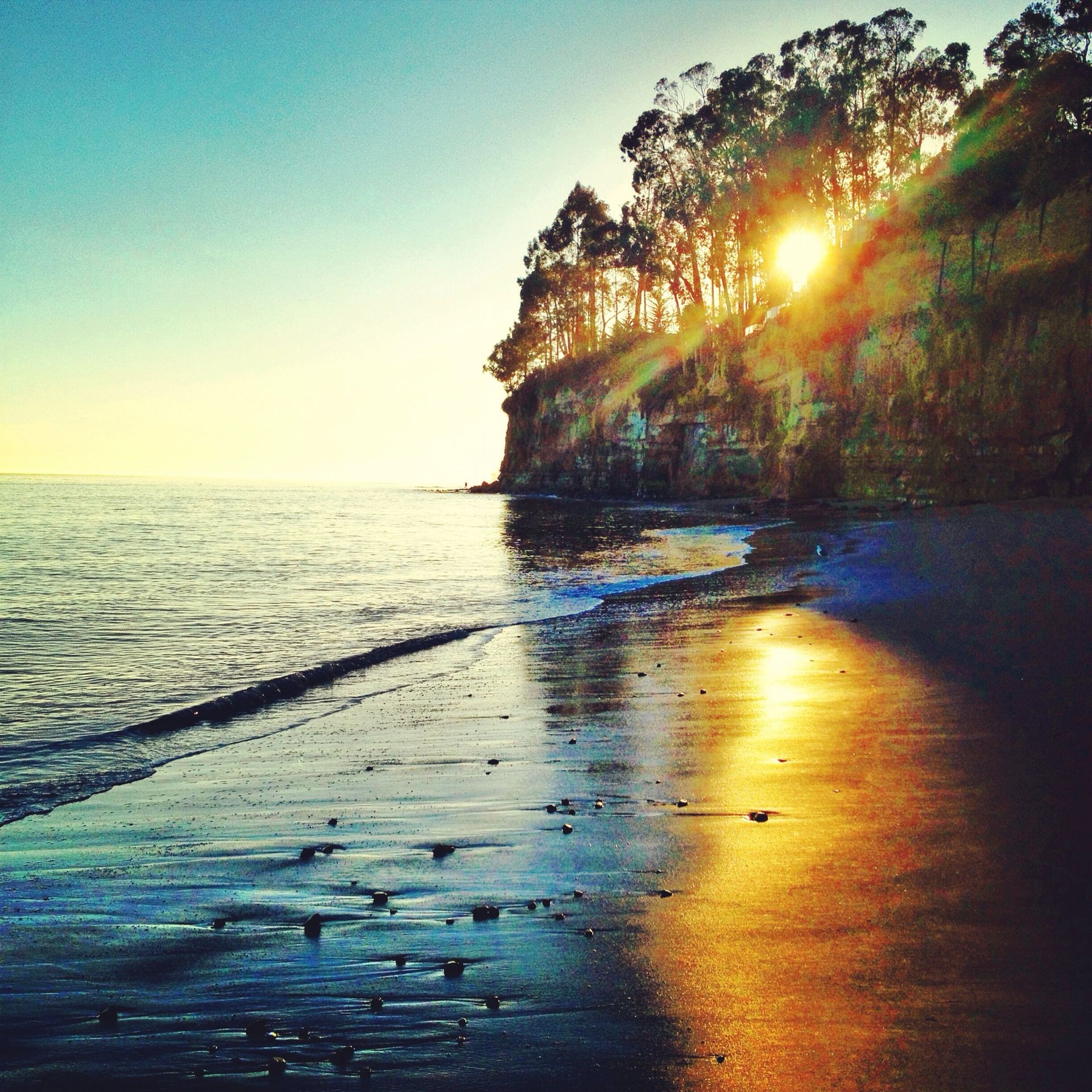 Sunlit beach at sunset with golden reflections on wet sand beside a tree-lined cliff