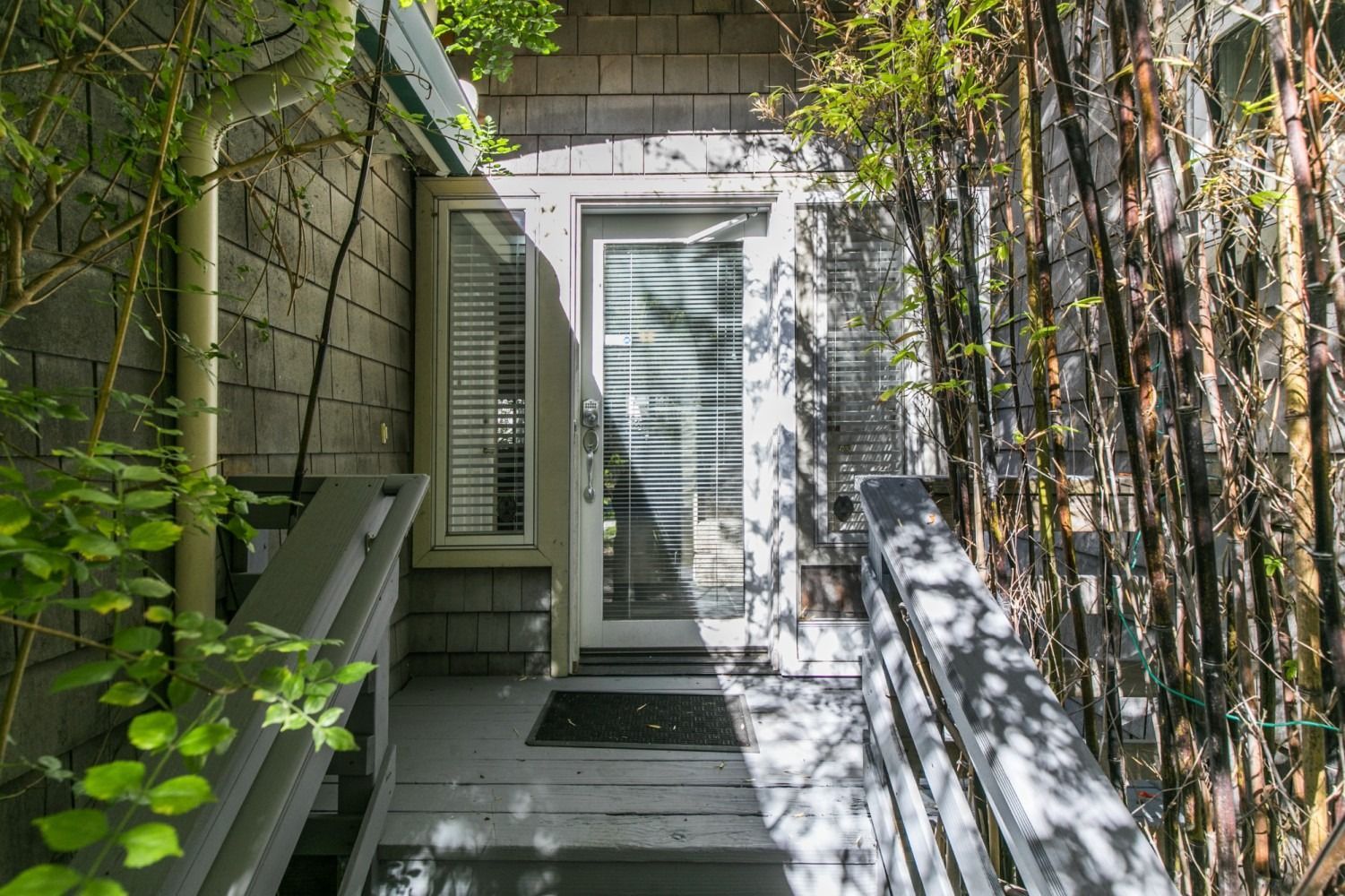Narrow home entryway with open door, white shutters, and overgrown vines along the wall