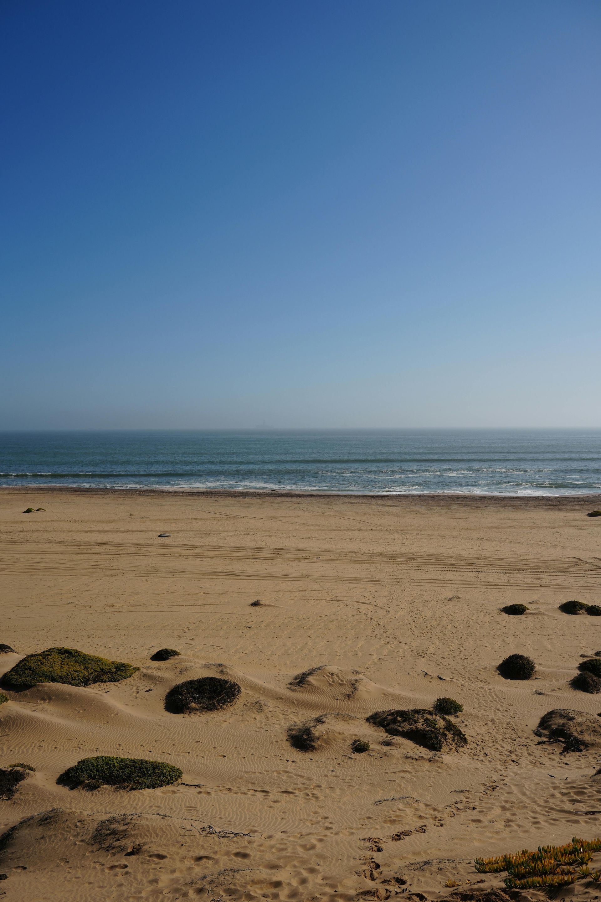 Sandy beach with scattered seaweed under a clear blue sky and calm ocean horizon