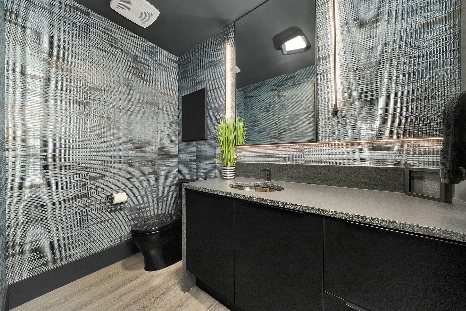 Modern bathroom with black vanity, gray patterned walls, mirror, and green plant on the sink.