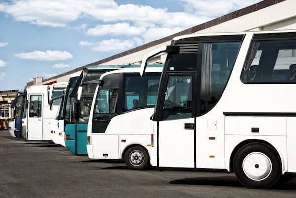 suttle service to and from Port canaveral Florida