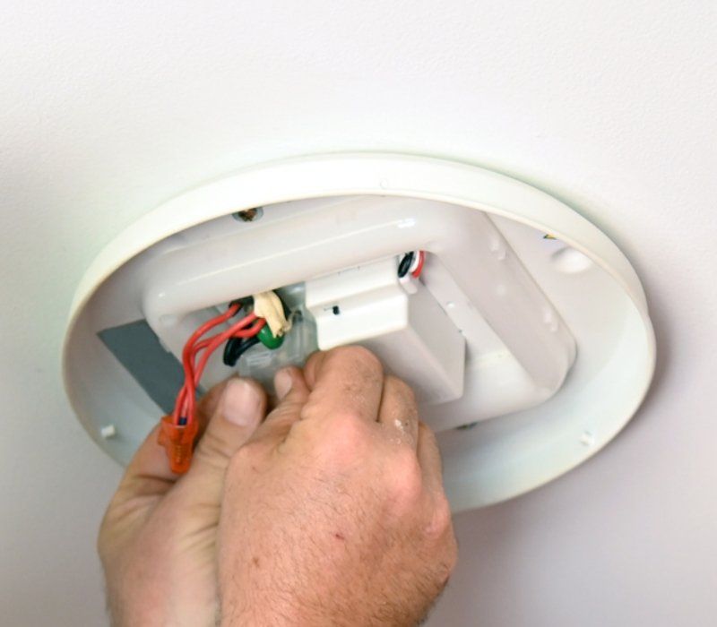 Electrician Holding Bulb — Sunshine Coast, QLD — Tedlec Electrician Holding Bulb — Sunshine Coast, QLD — Tedlec