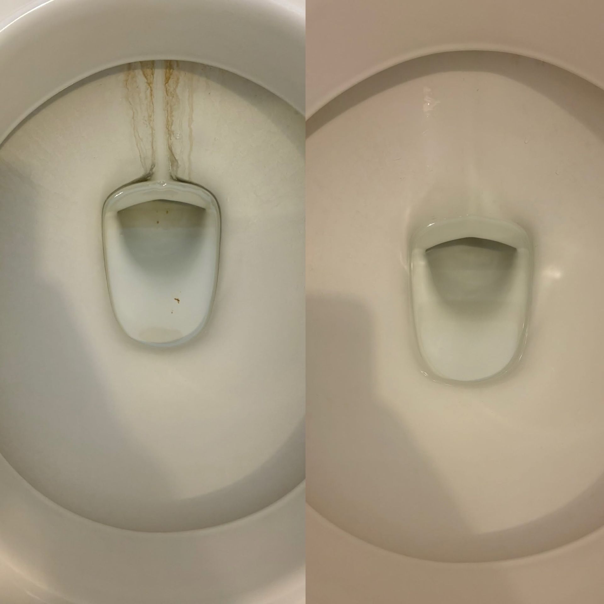 Toilet Clean