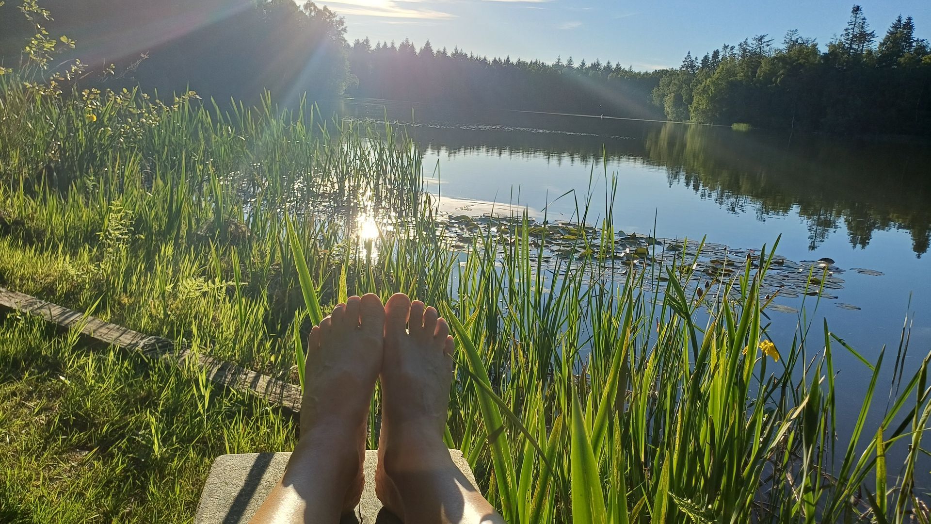 Genieten bij de heerlijke zwemvijver van Hof van Axen