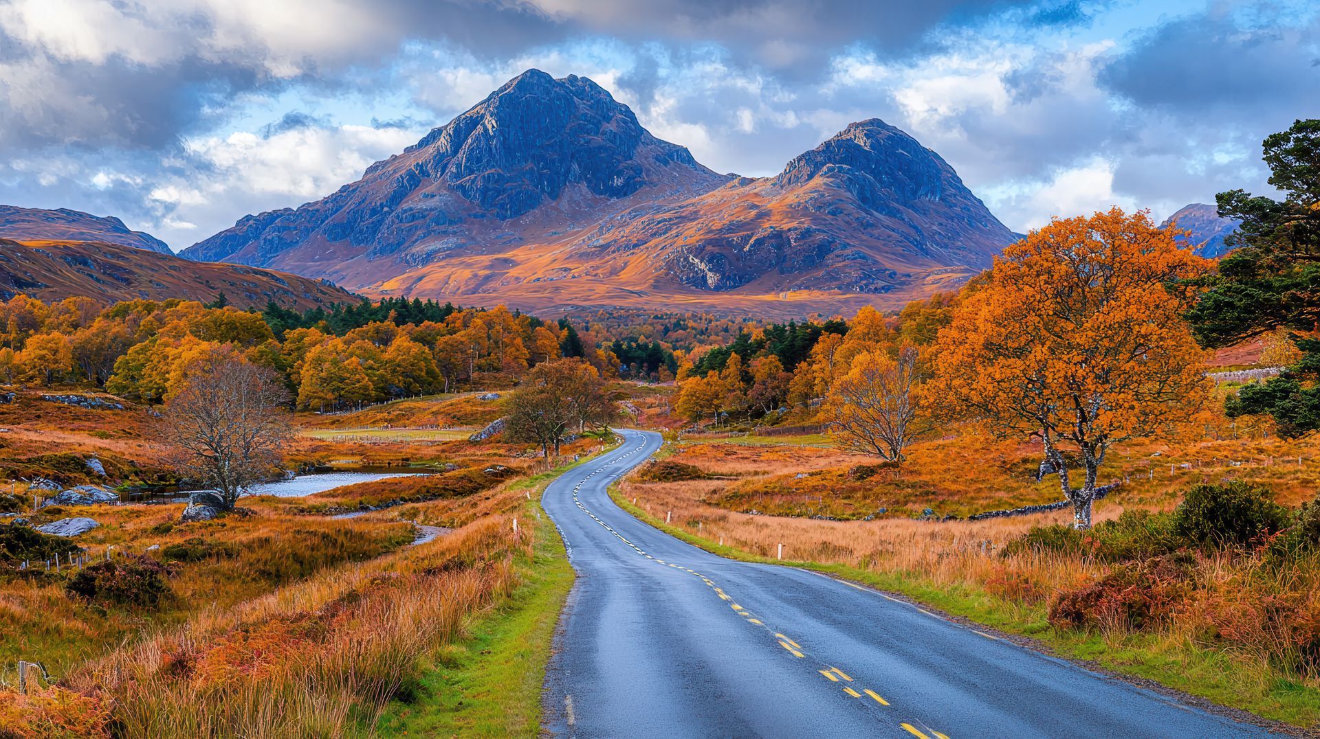 A road going through a lush green field with mountains in the background.