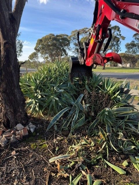 Site clearing