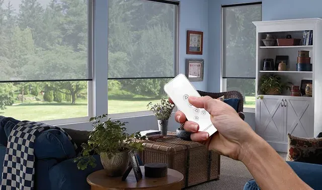 Motorized Window Treatment Texas