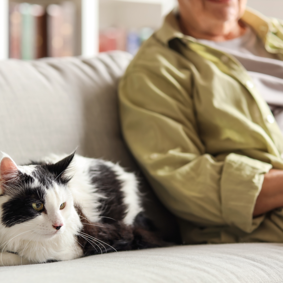A black and white cat is laying on a couch next to a man.