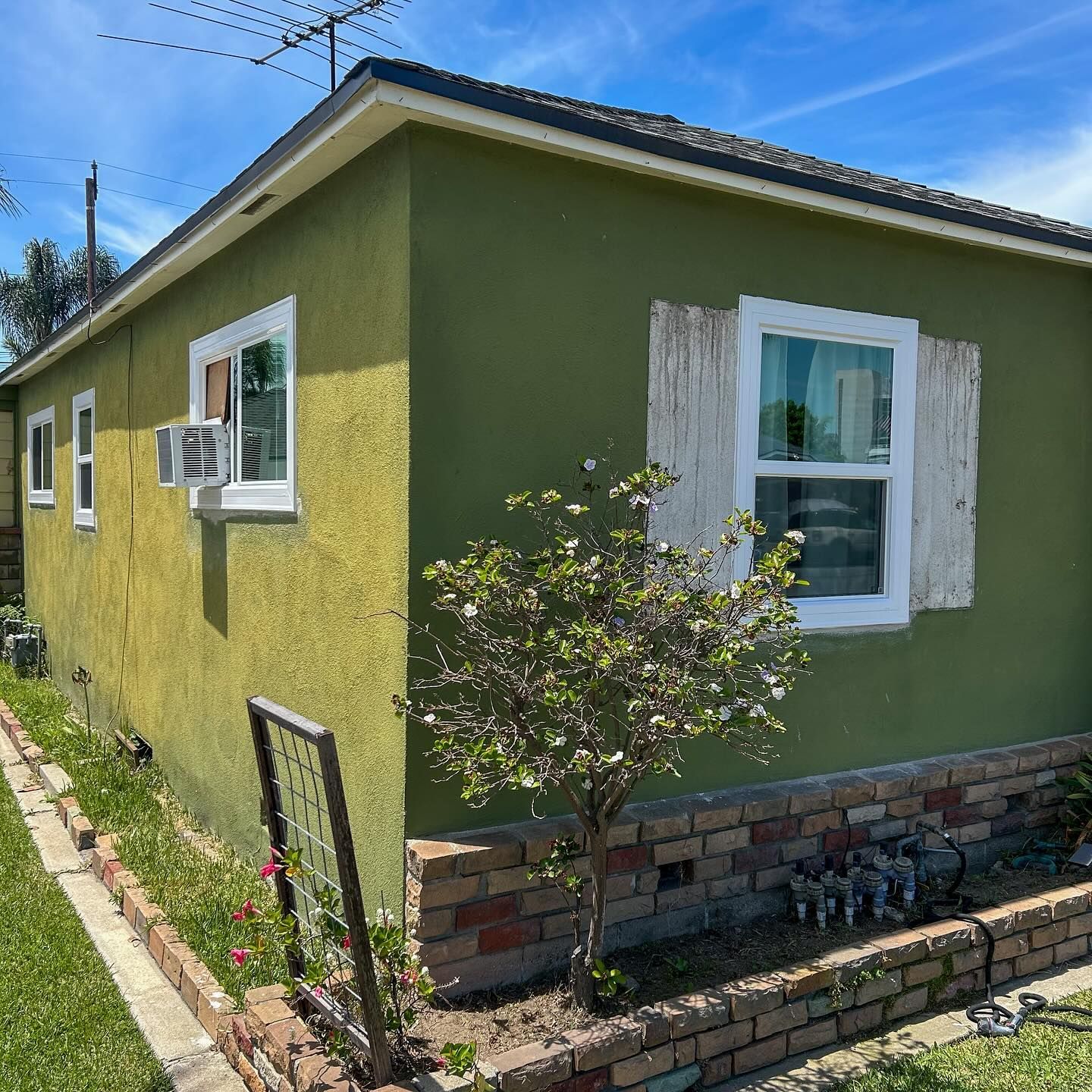 Green single-story house with white-trimmed windows, brick foundation, and a small tree in the yard.