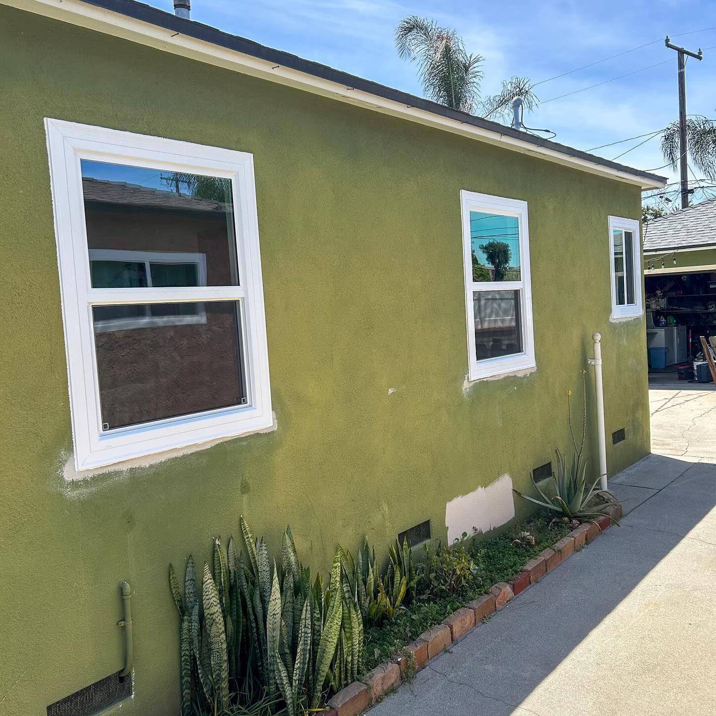 Green stucco house exterior with white-trimmed windows and a small succulent garden along the wall