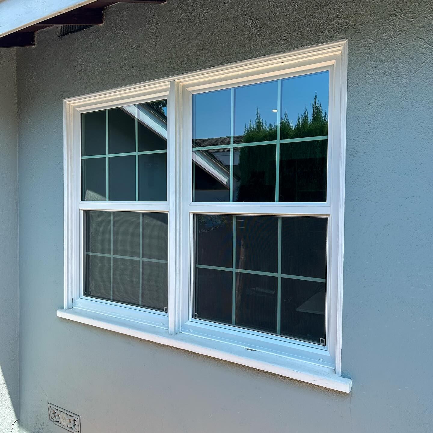 White-framed double window on a gray exterior wall with reflections of trees and sky