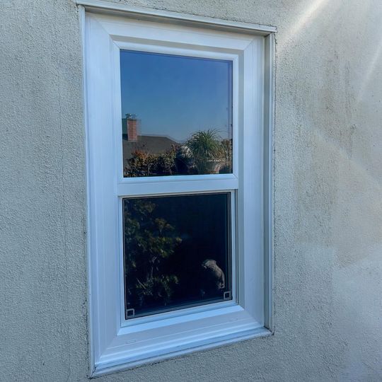 White-framed double window in a stucco wall, reflecting trees and sky.