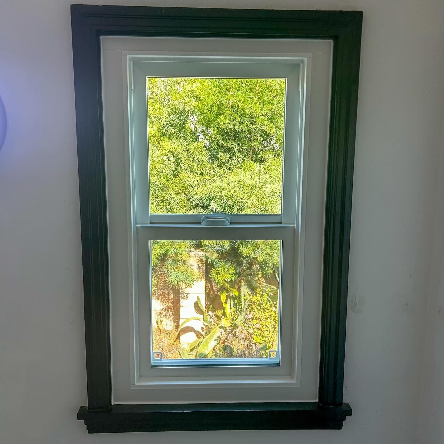 White-framed window with dark green trim, showing sunlit trees outside