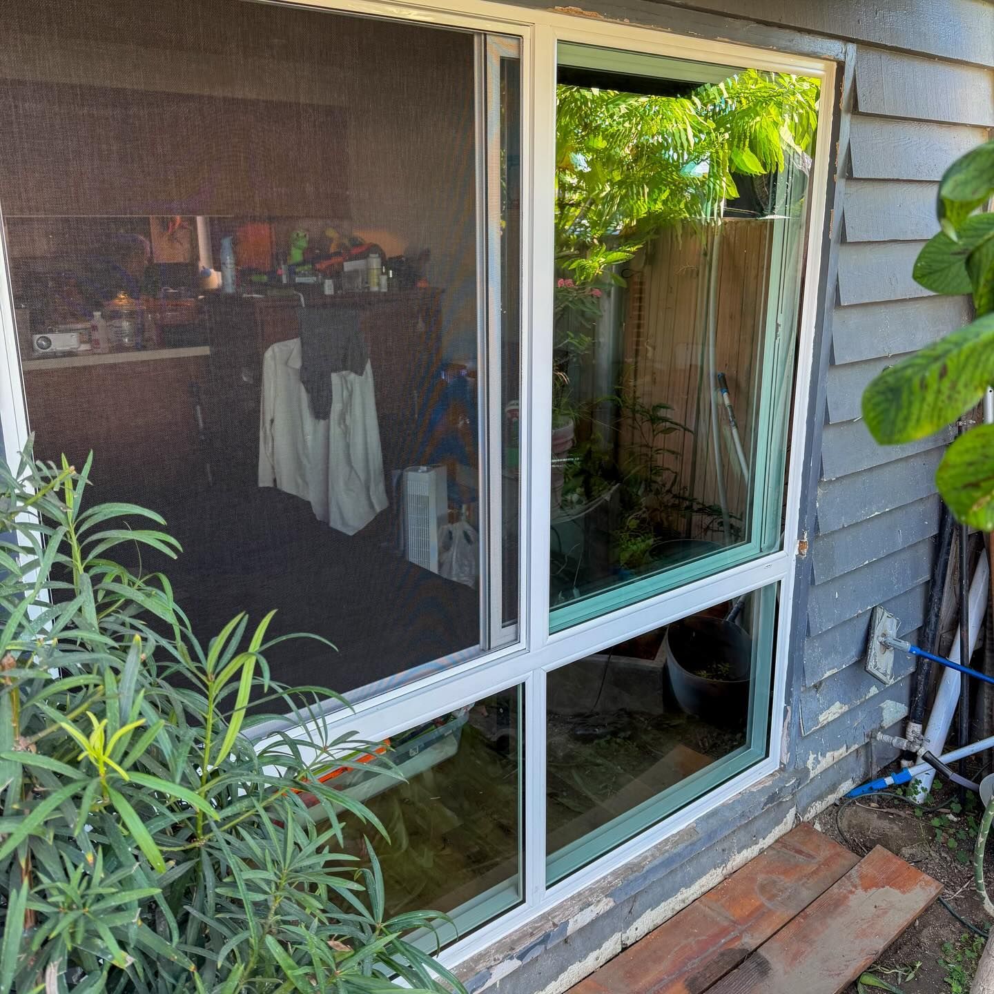 Slid from open window screen revealing a cluttered room, with garden plants and blue house siding outside.
