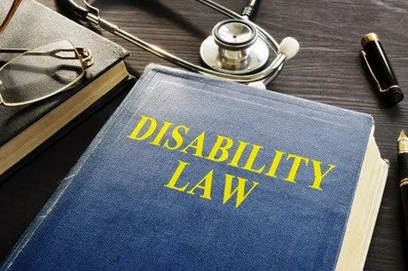 Disability Law Book Disability Law Book