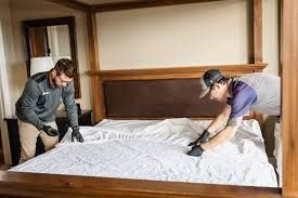 Bed Bug Heat Treatment Houston