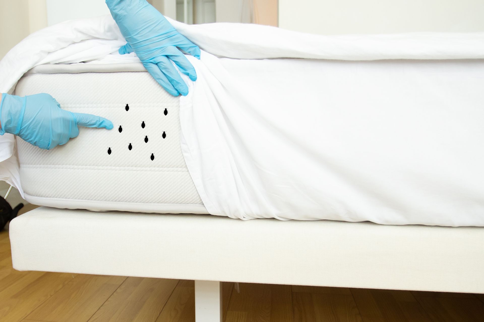 A person Wearing Blue Gloves is Pointing at Holes in a Mattress