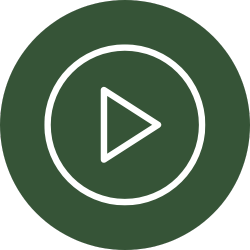 A white play icon in a green circle.