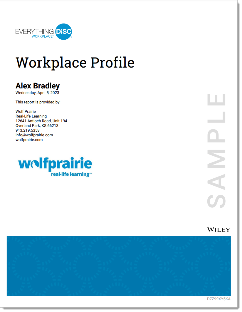 Cover page of a DISC workplace profile report, featuring the name