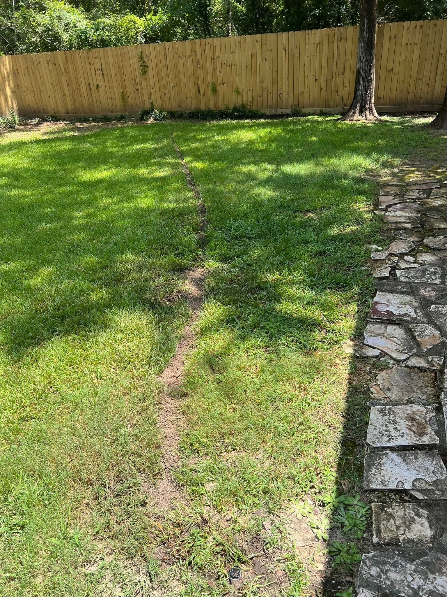 A lush green yard with a wooden fence and a stone walkway.