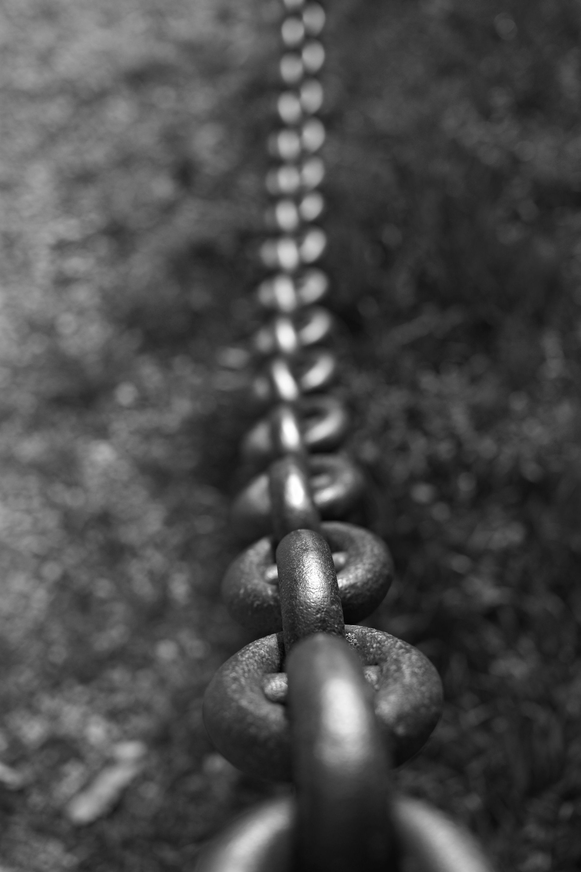 Black and white close-up of a metal chain stretching diagonally across a blurry grassy background.