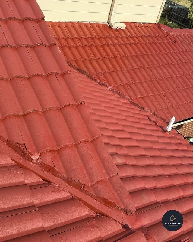 Roof painting