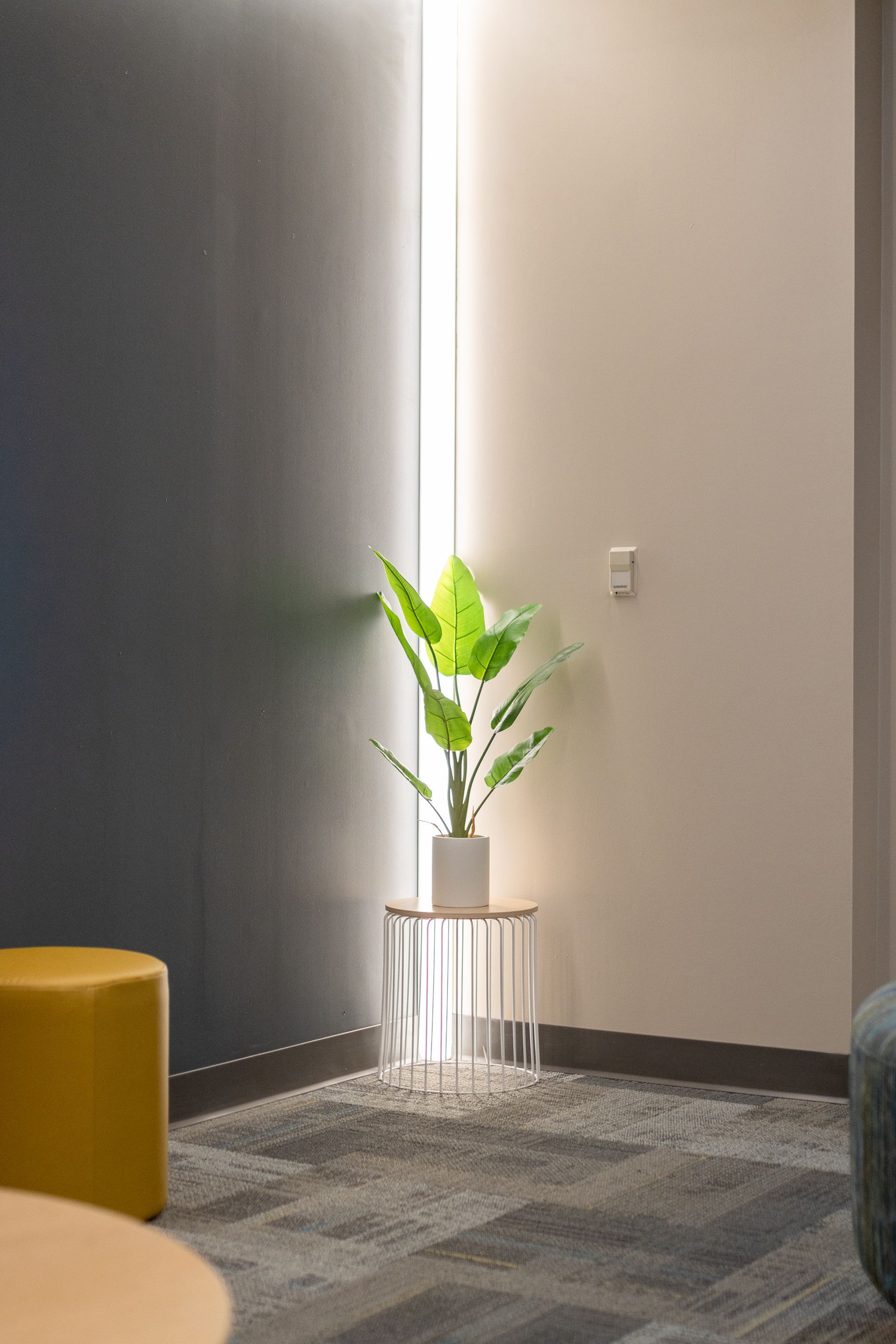 Eastview Terrace Kitchen's indoor corner with a potted plant lit by a vertical wall light, beside a gray wall and floor cushions.
