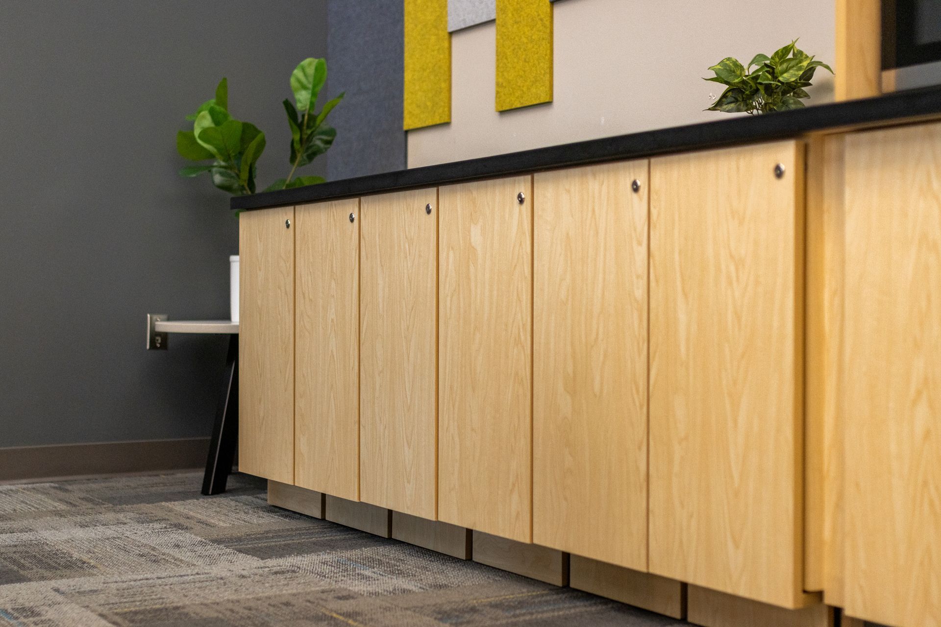 Eastview Terrace Kitchen's kitchenette with light wood cabinets, black countertop, and potted plants against a gray wall