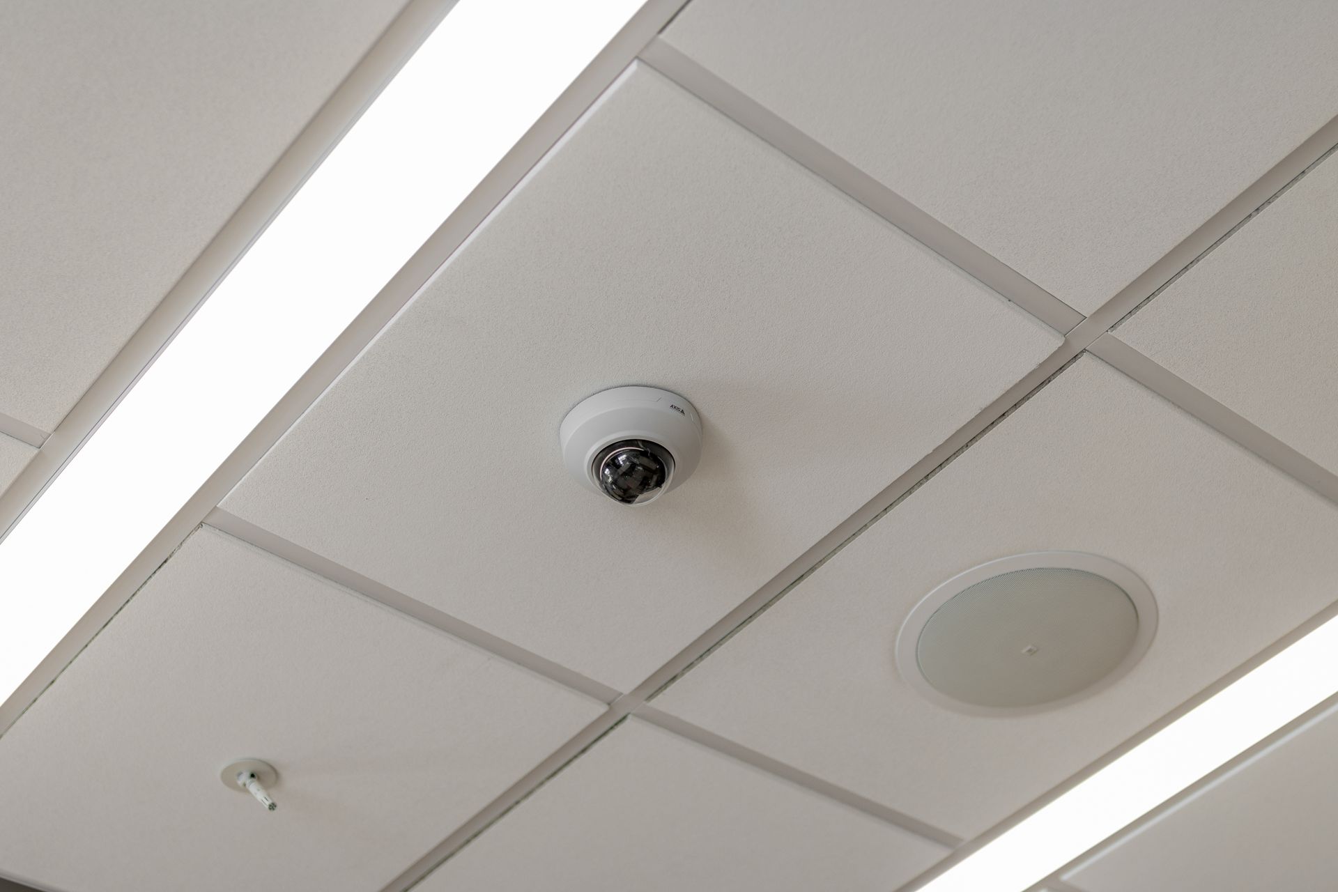 Security camera mounted on a white drop ceiling, near a recessed speaker and a fluorescent light fixture.