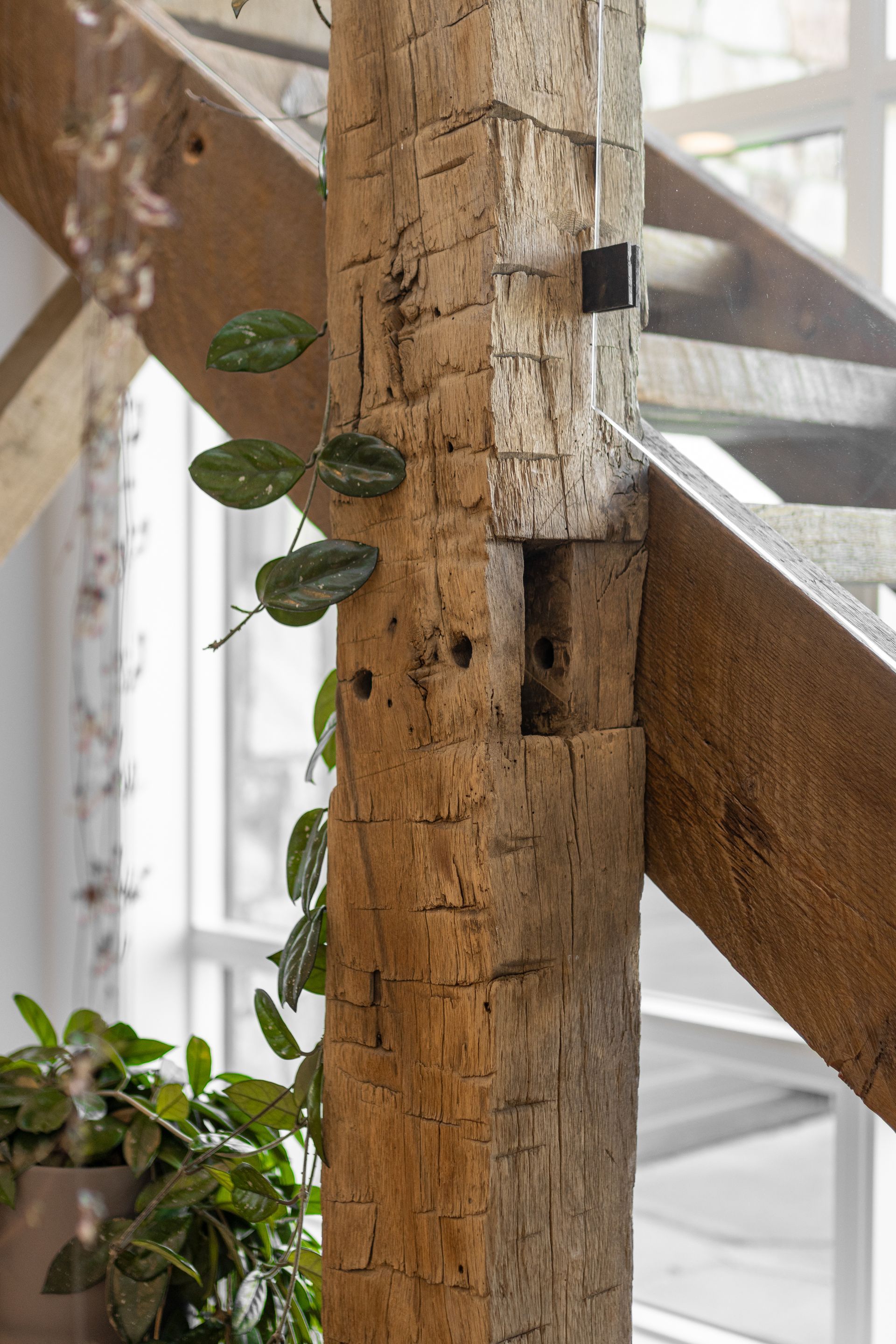 Rustic wooden beam with trailing green vines beside a bright staircase